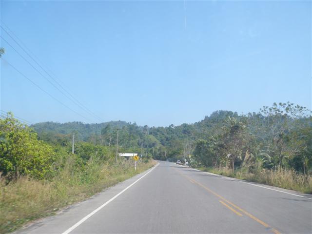 P1040129 (Small).JPG