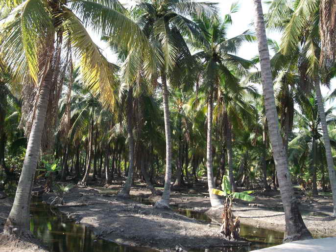 DSCF3393.JPG