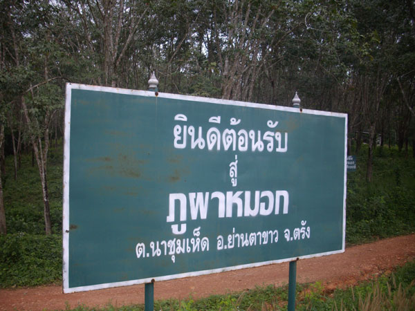 ที่ภูผาหมอก มีลำธารนำใสมาก