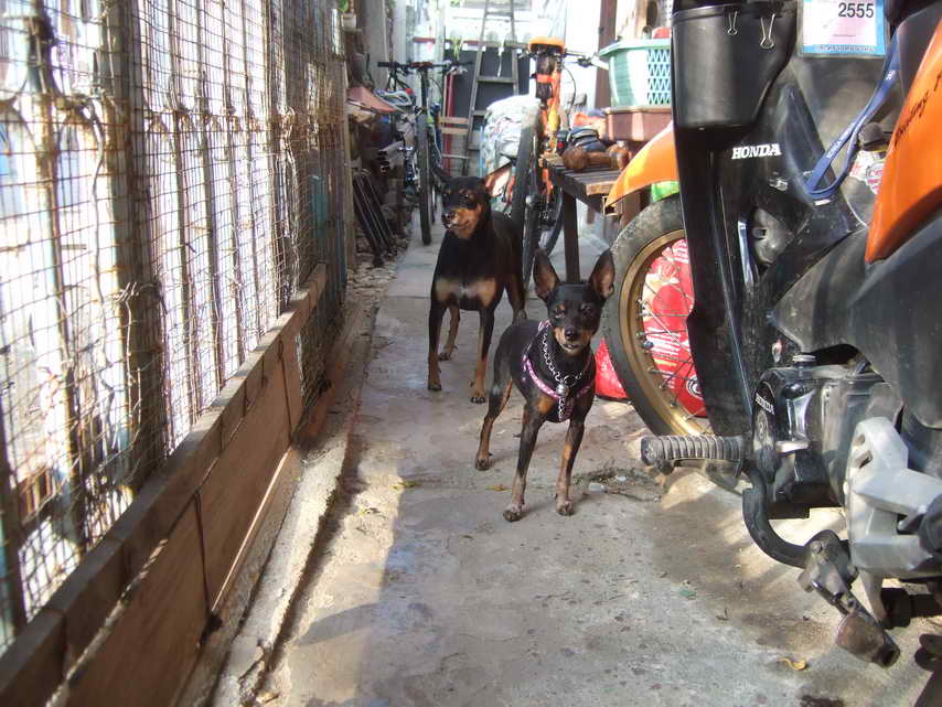 DSCF6816.JPG