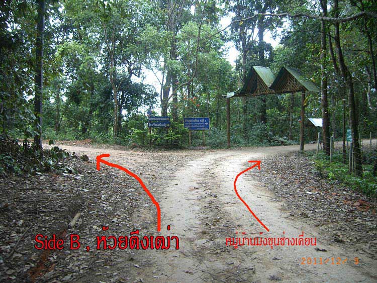 RIMG0079_a.jpg