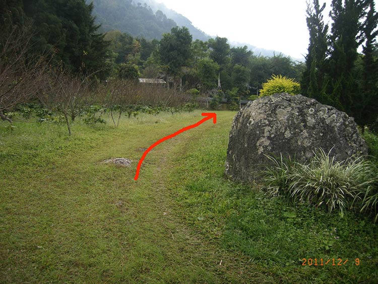 RIMG0100_a.jpg