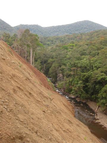 IMG_0294.jpg