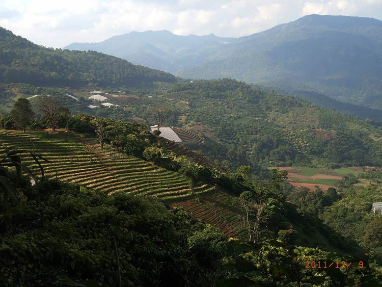 RIMG0248.JPG