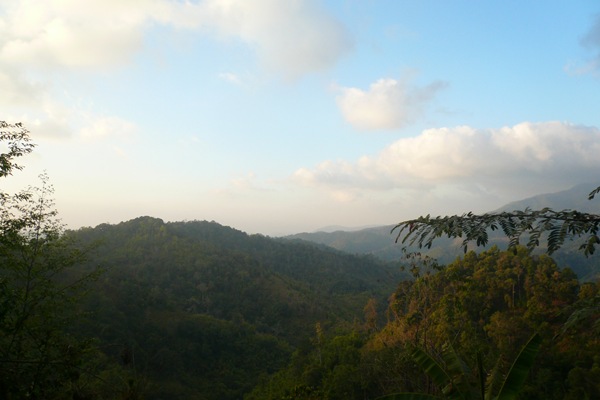 P1090111.JPG
