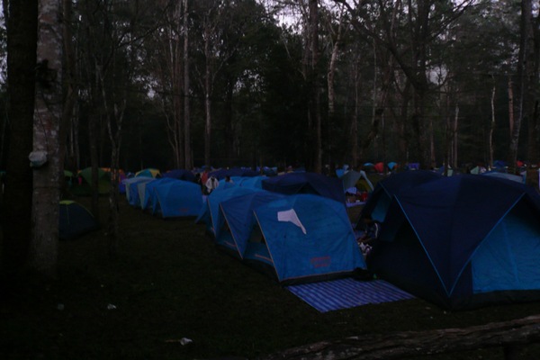 P1090334.JPG