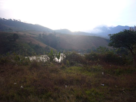 P1140702.JPG