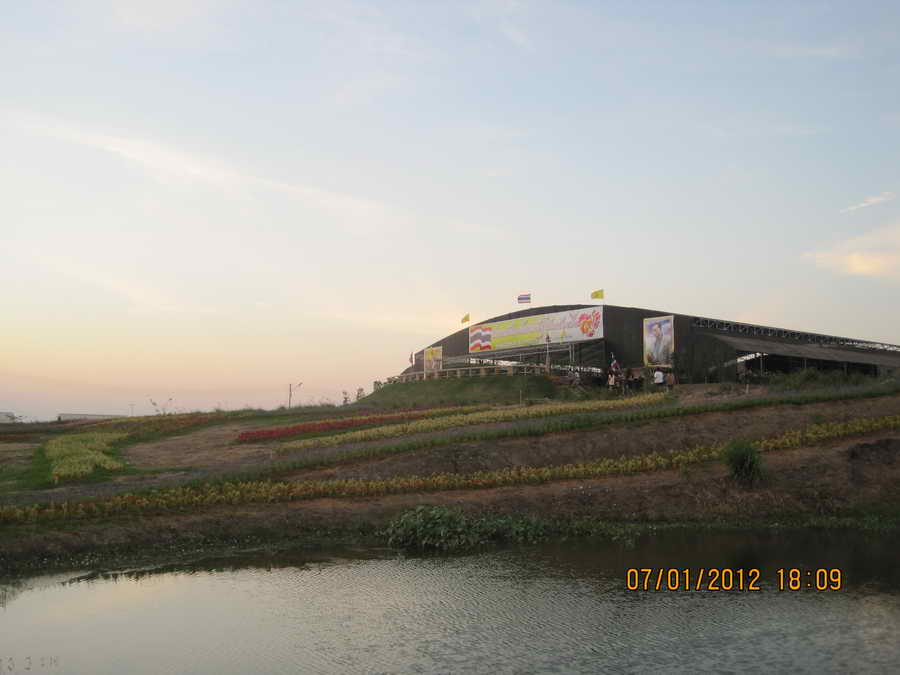 IMG_3390_resize.JPG