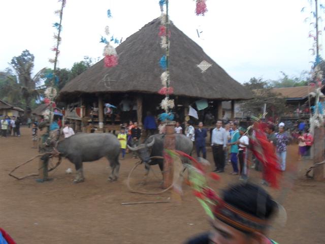 sdc19476.jpg