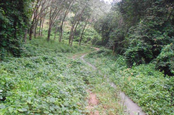 DSCN0623.JPG