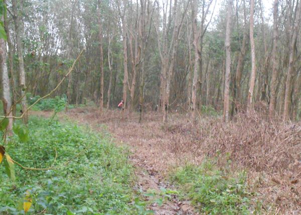 DSCN0628.JPG