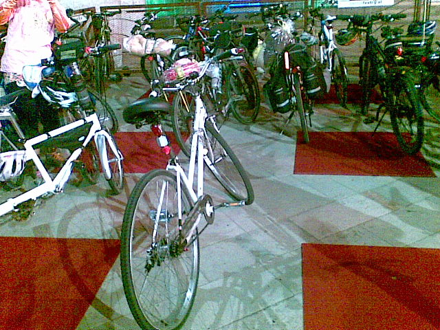 p1.jpg