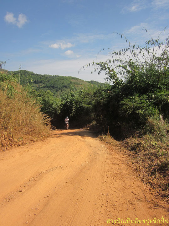 C016.jpg
