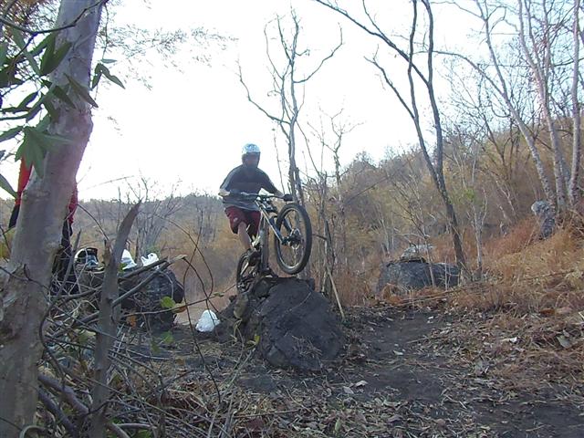 P1182442 (Small).JPG