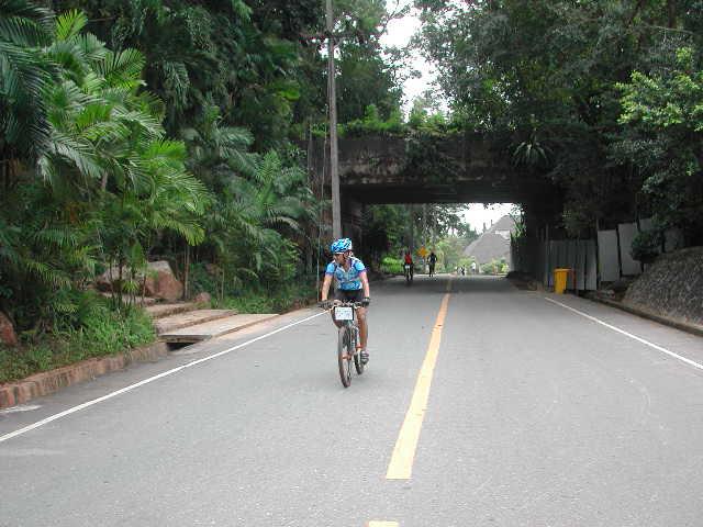 Picture 026.jpg