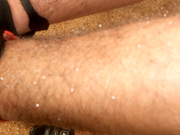 DSCN0746.JPG