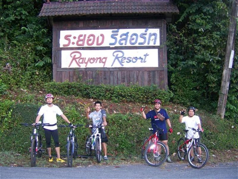 100_5203 (Medium) (Large) (Medium).JPG