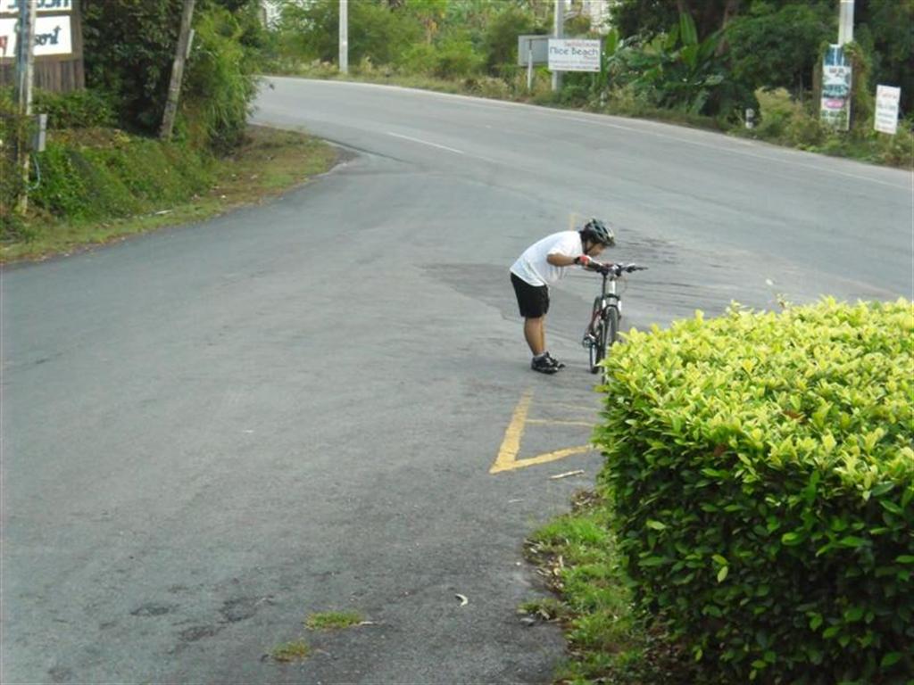 SAM_0712 (Medium) (Large).JPG