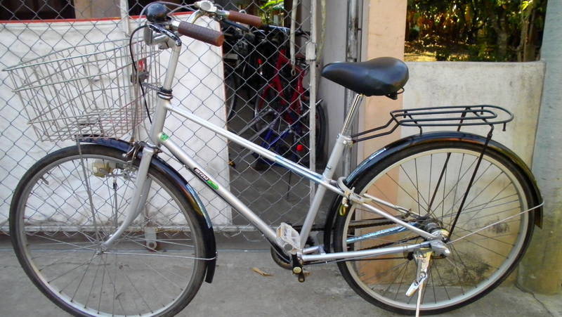 SANY2908.jpg