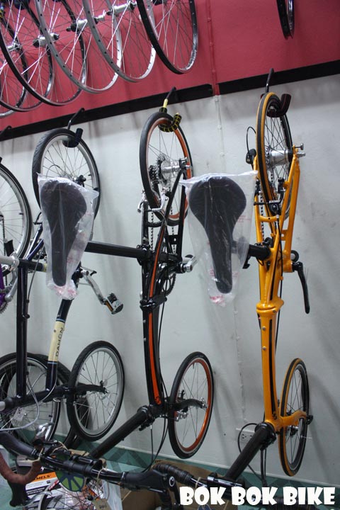 Dahon004.jpg