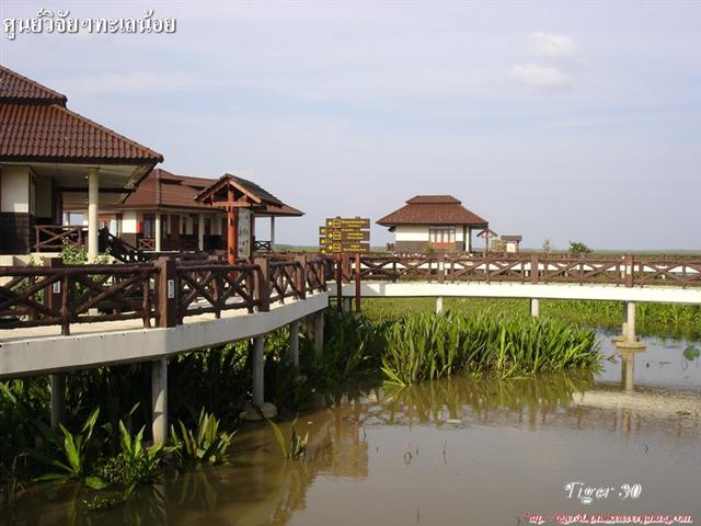 DSC08631 (Small).jpg