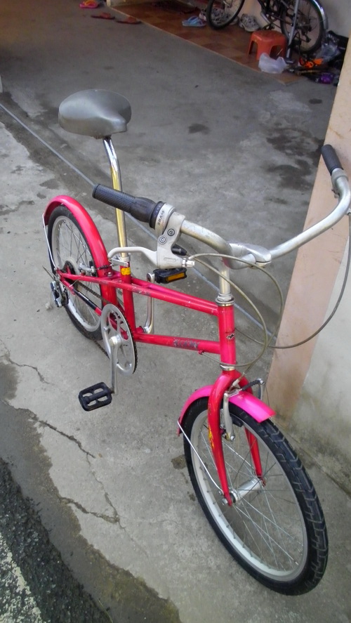 SANY2901.jpg