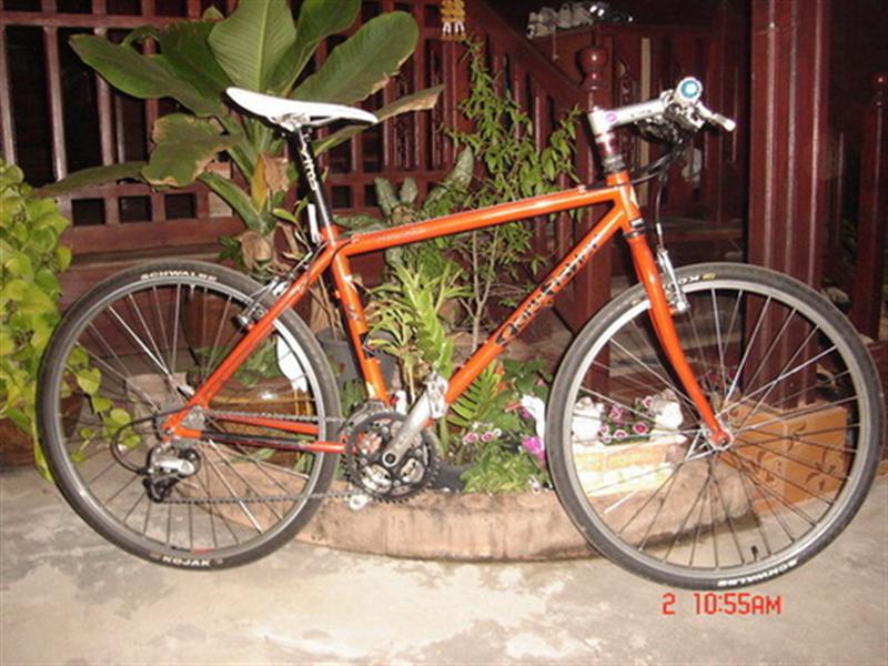 DSC0591611 (Medium).jpg