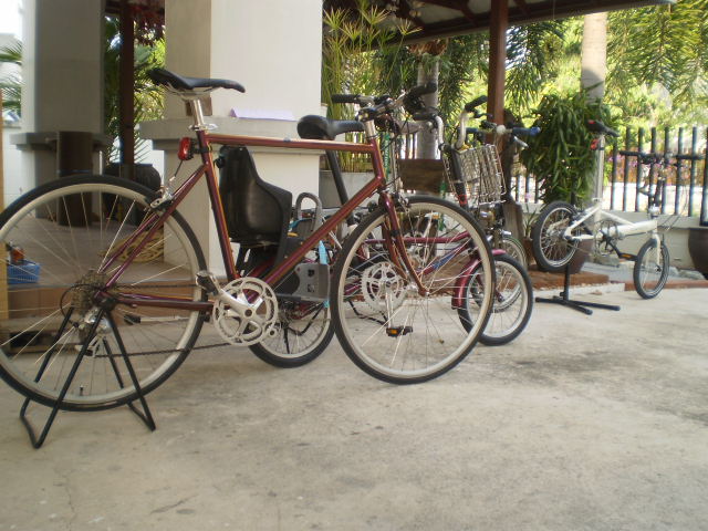 P1300017.JPG