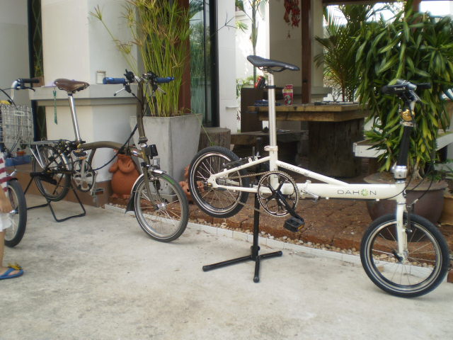 P1300018.JPG