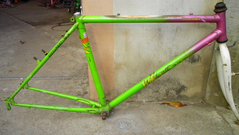 SANY2917.jpg