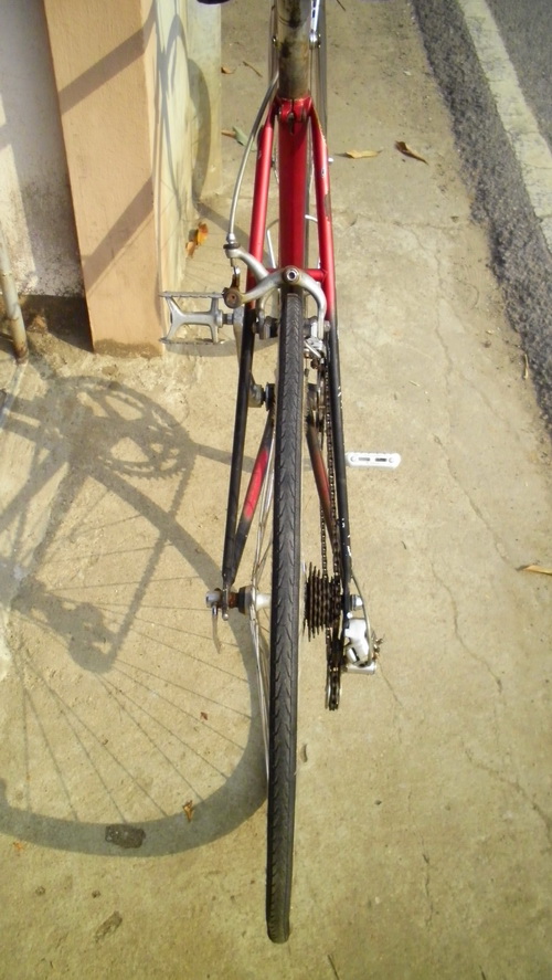 SANY2926.jpg