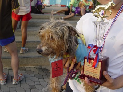 p1.jpg