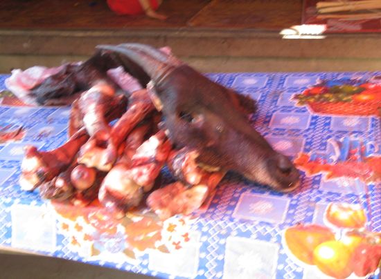 IMG_0909.JPG