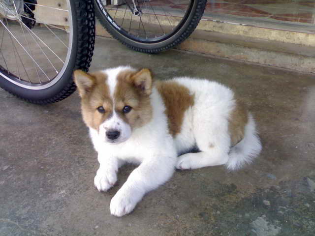 12012009320.jpg