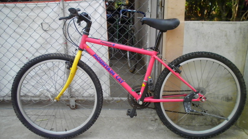 SANY2924.jpg