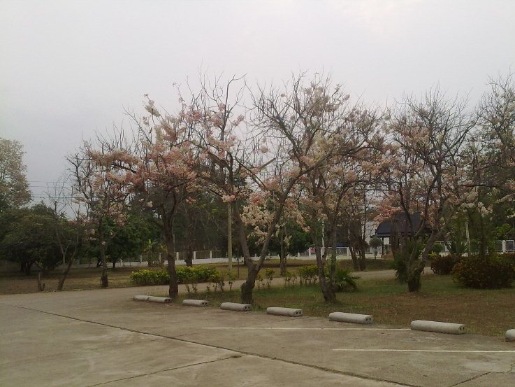 19022012119.jpg