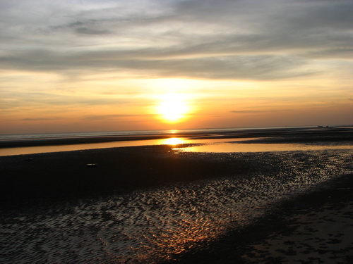 IMG_1213_resize.jpg