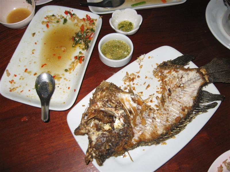IMG_5242 (Medium).JPG