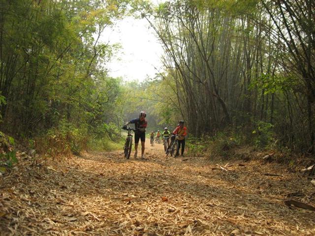 IMG_5288 (Medium) (Small).JPG