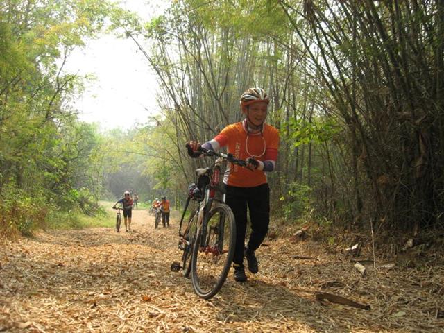 IMG_5287 (Medium) (Small).JPG