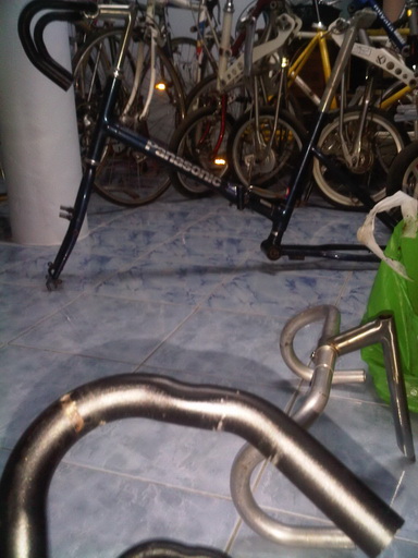 IMG01224-20120229-0829.jpg