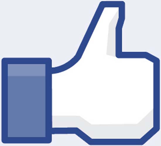 facebook-like-logo เวปต์.jpg