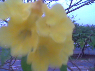 มองครั้งใด......ทำให้มีชีวิตชีวา......