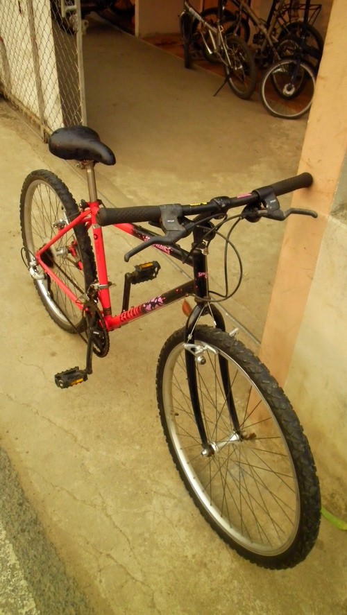 SANY2938.jpg