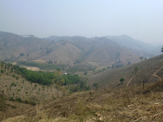 P1000283.JPG