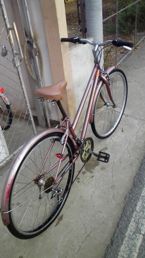SANY2941.jpg