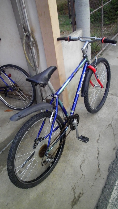 SANY2948.jpg