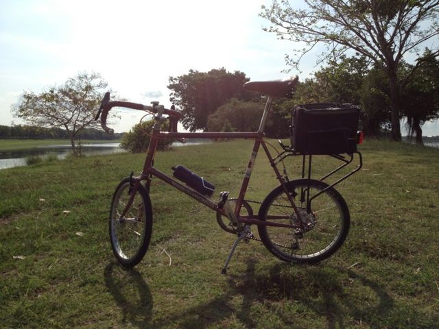 peugeot3.jpg