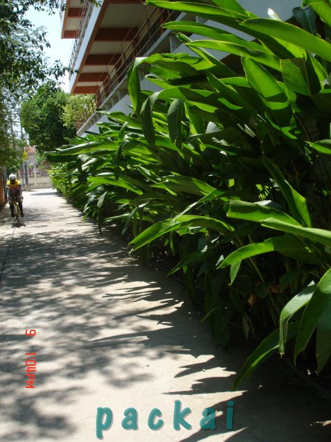 DSC02675.JPG