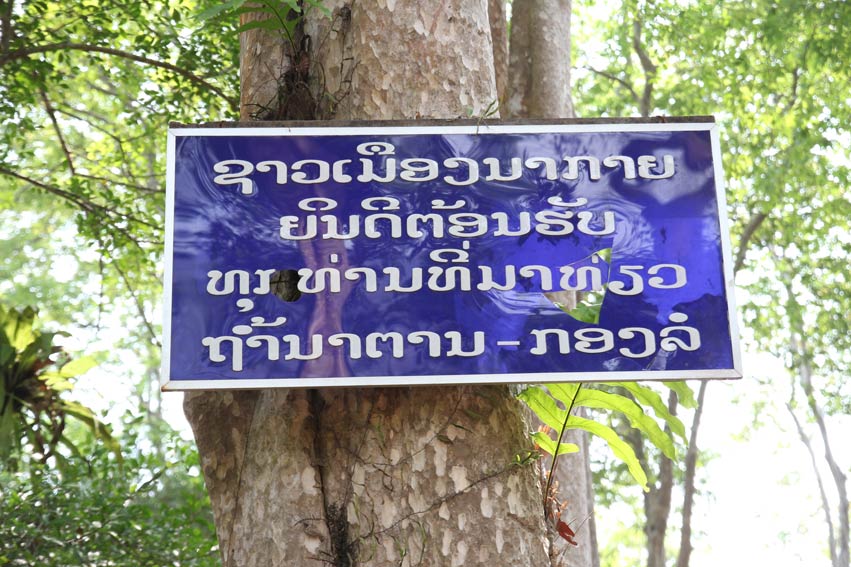 mok46.jpg